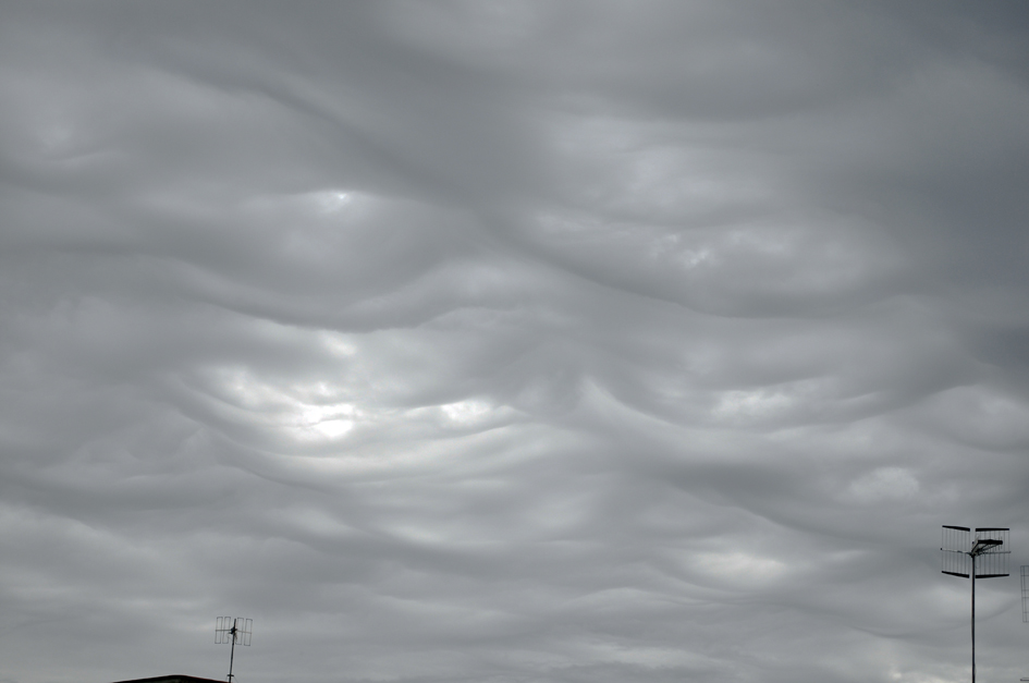 Nubi foriere di tempesta.....